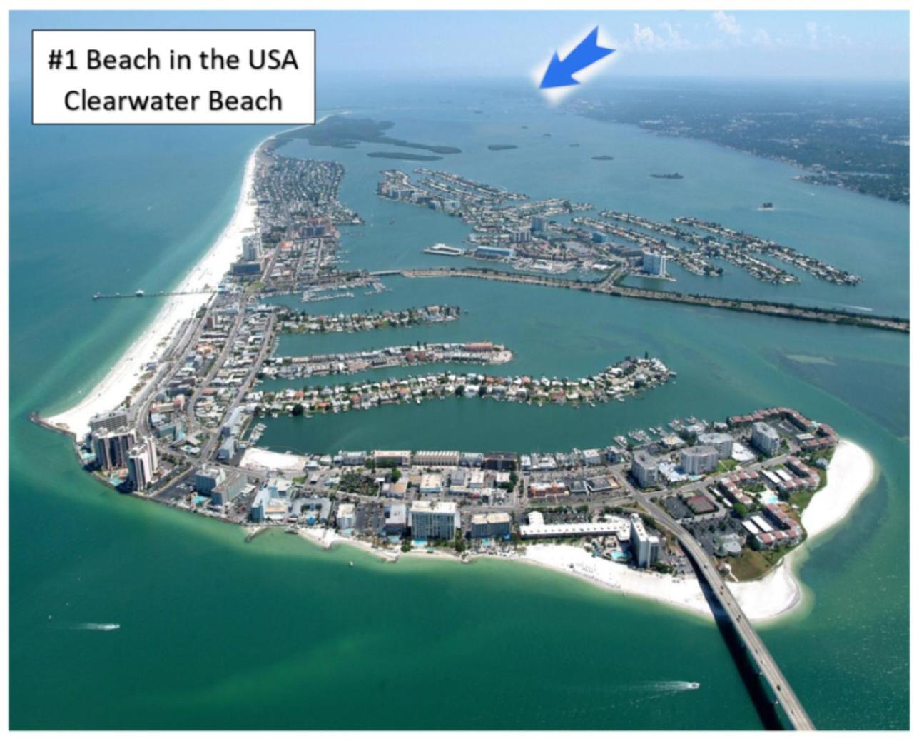 Beaches, Parks, Downtown, Trail, Breweries, Bikes, Gameroom Palm Harbor Bagian luar foto