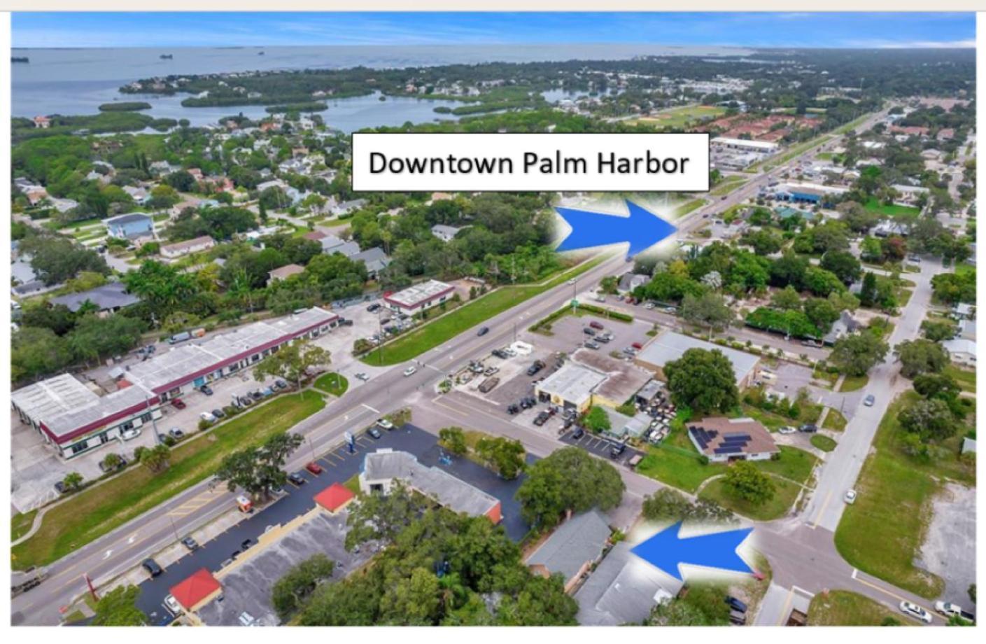 Beaches, Parks, Downtown, Trail, Breweries, Bikes, Gameroom Palm Harbor Bagian luar foto